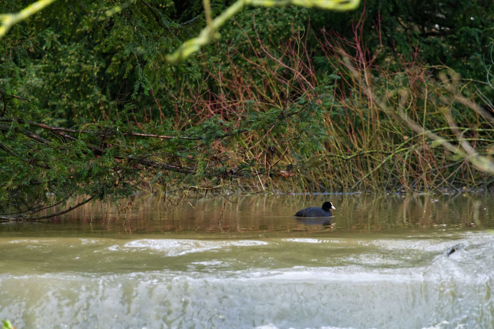 Weston, Hertfordshire