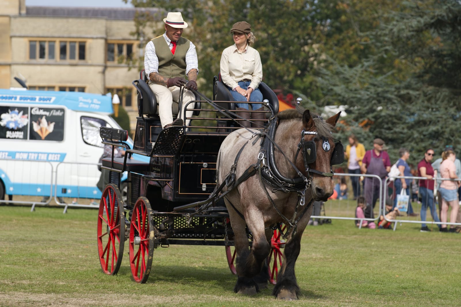 Bedfordshire Steam & Country Fayre: Horses