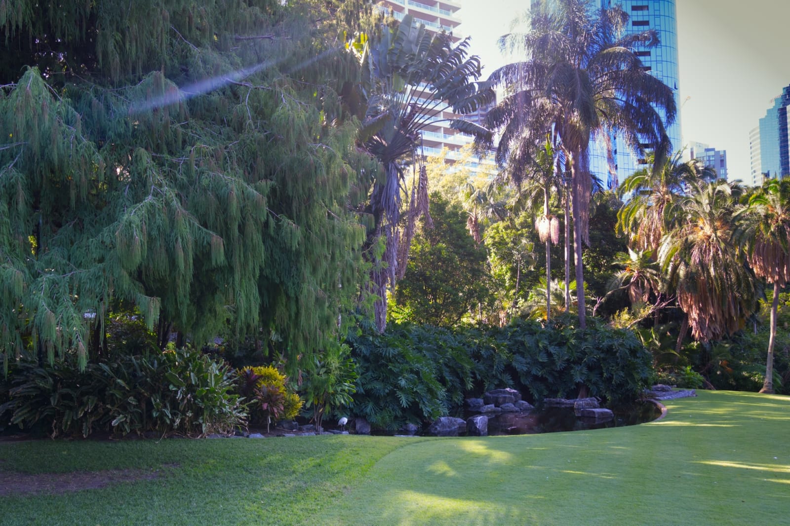 Botanical Gardens, Brisbane